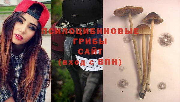 хмурый Зерноград