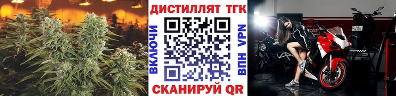 где найти   Светогорск  ТГК концентрат 
