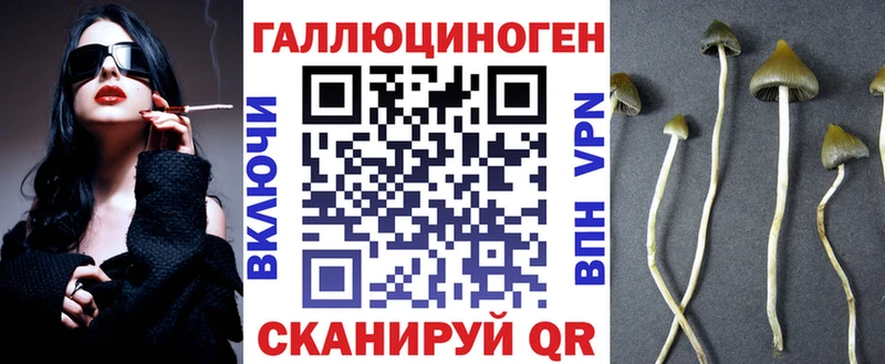 Галлюциногенные грибы мицелий  Светогорск 
