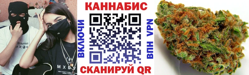 Бошки марихуана THC 21%  Светогорск 